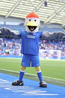 Brighton and Hove Albion v Roma
Premier League
08AUG26