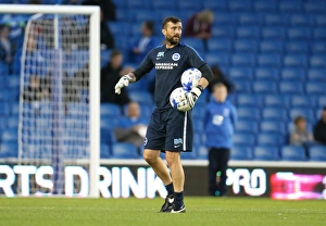 Ben Roberts Gallery: Brighton and Hove Albion v Rotherham United Sky Bet Championship 15 / 09 / 2015
