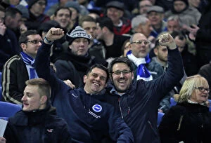 Images Dated 8th March 2016: Brighton and Hove Albion v Sheffield Wednesday Sky Bet Championship 08 / 03 / 2016