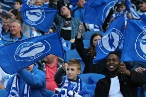 Brighton and Hove Albion v Sheffield Wednesday Sky Bet Championship, Play Off, Second