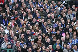 Brighton and Hove Albion v Sheffield Wednesday Sky Bet Championship, Play Off, Second