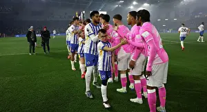 Brighton and Hove Albion v Southampton Premier League 29NOV24