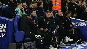 In The Dugout Prints: Brighton and Hove Albion v Southampton Premier League 29NOV24