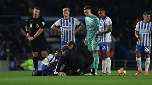 Pain Prints: Brighton and Hove Albion v Southampton Premier League 29NOV24