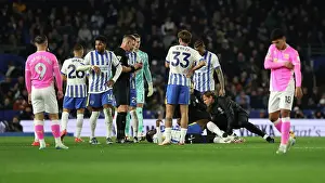 Pain Prints: Brighton and Hove Albion v Southampton Premier League 29NOV24