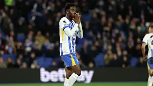 Dejected Prints: Brighton and Hove Albion v Southampton Premier League 29NOV24
