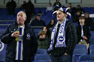 Brighton and Hove Albion v Southampton Premier League 29NOV24