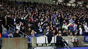 Brighton and Hove Albion v Southampton Premier League 29NOV24
