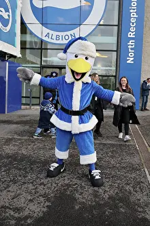Brighton and Hove Albion v Sunderland<br> Premier League<br> 20DEC25