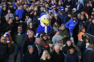 Brighton and Hove Albion v Sunderland<br> Premier League<br> 20DEC25