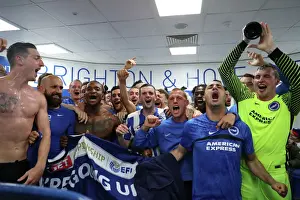 Brighton and Hove Albion v Wigan Athletic EFL Sky Bet Championship 17APR17