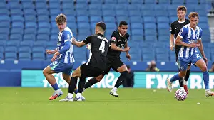 Harry Howell Prints: Brighton and Hove Albion v Wolfsburg
Pre-Season Friendly
09AUG25