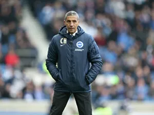 Brighton Manager Chris Hughton Collection: Brighton and Hove Albion v Wolverhampton Wanderers