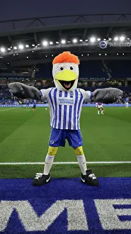 Brighton and Hove Albion v Wolverhampton Wanderers Carabao Cup 18SEP24