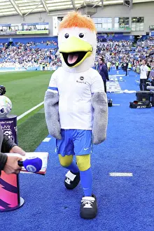 Club Mascot Prints: Brighton and Hove Albion v Wolverhampton Wanderers
Premier League
09MAY26