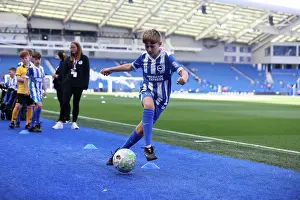 Brighton and Hove Albion v Wolverhampton Wanderers<br> Premier League<br> 09MAY26