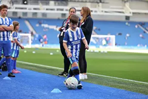 Brighton and Hove Albion v Wolverhampton Wanderers<br> Premier League<br> 09MAY26