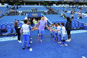 Brighton and Hove Albion v Wolverhampton Wanderers<br> Premier League<br> 09MAY26