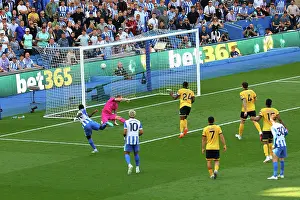 Wolverhampton Wanderers 09MAY26 Prints: Brighton and Hove Albion v Wolverhampton Wanderers
Premier League
09MAY26