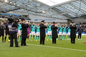 Brighton & Hove Albion vs. Wigan Athletic: Sky Bet Championship Showdown at American Express Community Stadium (8 November 2014)