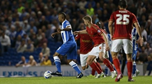 Brighton and Hove Albion vs. Nottingham Forest: Sky Bet Championship Showdown at American Express Community Stadium (July 2015)