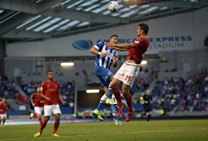Brighton and Hove Albion vs. Nottingham Forest: Sky Bet Championship Showdown at American Express Community Stadium (July 2015)