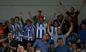Brighton and Hove Albion vs. Nottingham Forest: Sky Bet Championship Showdown at American Express Community Stadium (July 2015)