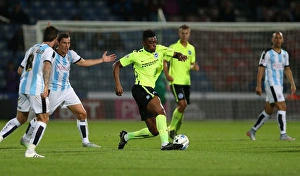 Brighton and Hove Albion vs. Huddersfield Town: Sky Bet Championship Showdown at John Smith's Stadium (August 18, 2015)