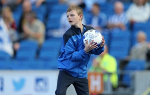 Brighton and Hove Albion vs. Hull City: Sky Bet Championship Showdown at American Express Community Stadium (September 12, 2015)