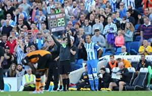 Brighton and Hove Albion vs. Hull City: Sky Bet Championship Showdown at American Express Community Stadium (September 12, 2015)