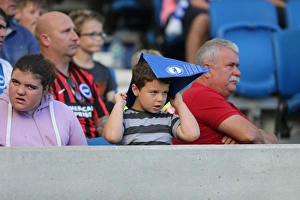 Brighton and Hove Albion vs. Hull City: Sky Bet Championship Showdown at American Express Community Stadium (September 12, 2015)
