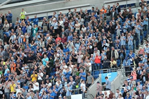 Brighton and Hove Albion vs. Hull City: Sky Bet Championship Showdown at American Express Community Stadium (September 12, 2015)