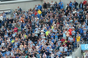 Brighton and Hove Albion vs. Hull City: Sky Bet Championship Showdown at American Express Community Stadium (September 12, 2015)