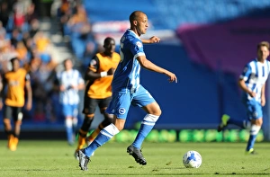 Brighton and Hove Albion vs. Hull City: Sky Bet Championship Showdown at American Express Community Stadium (September 12, 2015)