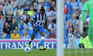Brighton and Hove Albion vs. Hull City: Sky Bet Championship Showdown at American Express Community Stadium (September 12, 2015)