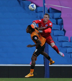 Brighton and Hove Albion vs. Hull City: Sky Bet Championship Showdown at American Express Community Stadium (September 12, 2015)