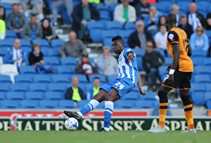 Brighton and Hove Albion vs. Hull City: Sky Bet Championship Showdown at American Express Community Stadium (September 12, 2015)