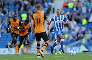 Brighton and Hove Albion vs. Hull City: Sky Bet Championship Showdown at American Express Community Stadium (September 12, 2015)