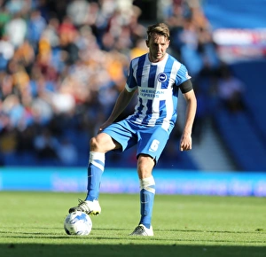 Brighton and Hove Albion vs. Hull City: Sky Bet Championship Showdown at American Express Community Stadium (September 12, 2015)