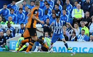 Brighton and Hove Albion vs. Hull City: Sky Bet Championship Showdown at American Express Community Stadium (September 12, 2015)