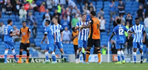 Brighton and Hove Albion vs. Hull City: Sky Bet Championship Showdown at American Express Community Stadium (September 12, 2015)