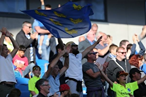 Brighton and Hove Albion vs. Hull City: Sky Bet Championship Showdown at American Express Community Stadium (September 12, 2015)