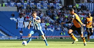Brighton and Hove Albion vs. Hull City: Sky Bet Championship Showdown at American Express Community Stadium (September 12, 2015)