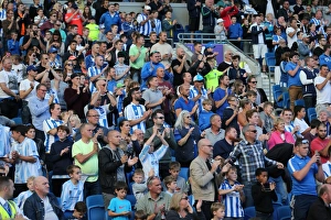 Brighton and Hove Albion vs. Hull City: Sky Bet Championship Showdown at American Express Community Stadium (September 12, 2015)