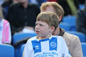 Brighton and Hove Albion vs. Hull City: Sky Bet Championship Showdown at American Express Community Stadium (September 12, 2015)
