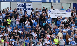 Brighton and Hove Albion vs. Hull City: Sky Bet Championship Showdown at American Express Community Stadium (September 12, 2015)