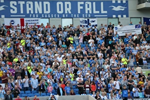 Brighton and Hove Albion vs. Hull City: Sky Bet Championship Showdown at American Express Community Stadium (September 12, 2015)