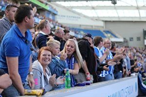 Brighton and Hove Albion vs. Hull City: Sky Bet Championship Showdown at American Express Community Stadium (September 12, 2015)