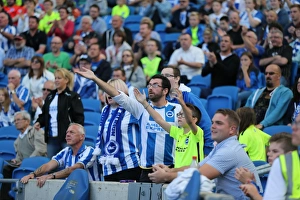 Brighton and Hove Albion vs. Hull City: Sky Bet Championship Showdown at American Express Community Stadium (September 12, 2015)