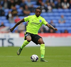 Brighton and Hove Albion vs. Bolton Wanderers: Sky Bet Championship Showdown at Macron Stadium (September 26, 2015)